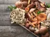 Wie lagere ich Pilze?