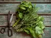 Was ist ein Bouquet Garni und wie wird er angewendet?