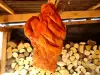 Gesalzene Schweinshaxe