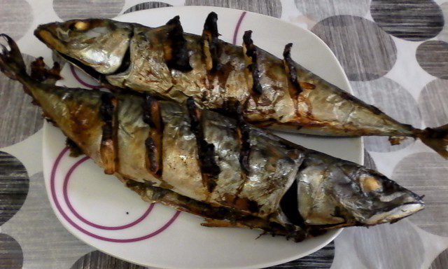 Makrele mit Gewürzen im Ofen
