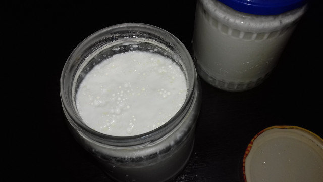 Hausgemachter Joghurt aus Schafsmilch