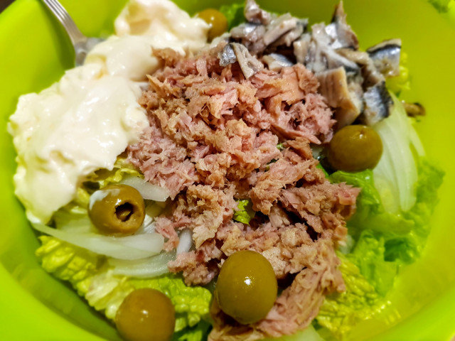 Grüner Salat mit Thunfisch und Anchovis