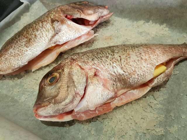 Gebackener Fisch in Salzkruste