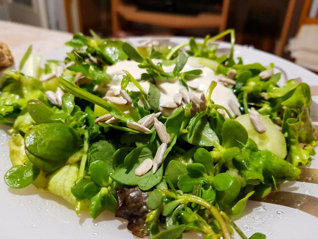 Gesunder Salat mit Portulak und Joghurtsoße