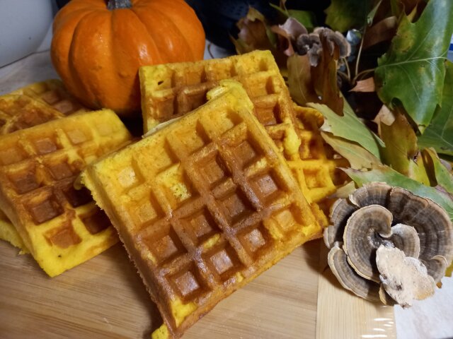 Kürbiswaffeln im Waffeleisen